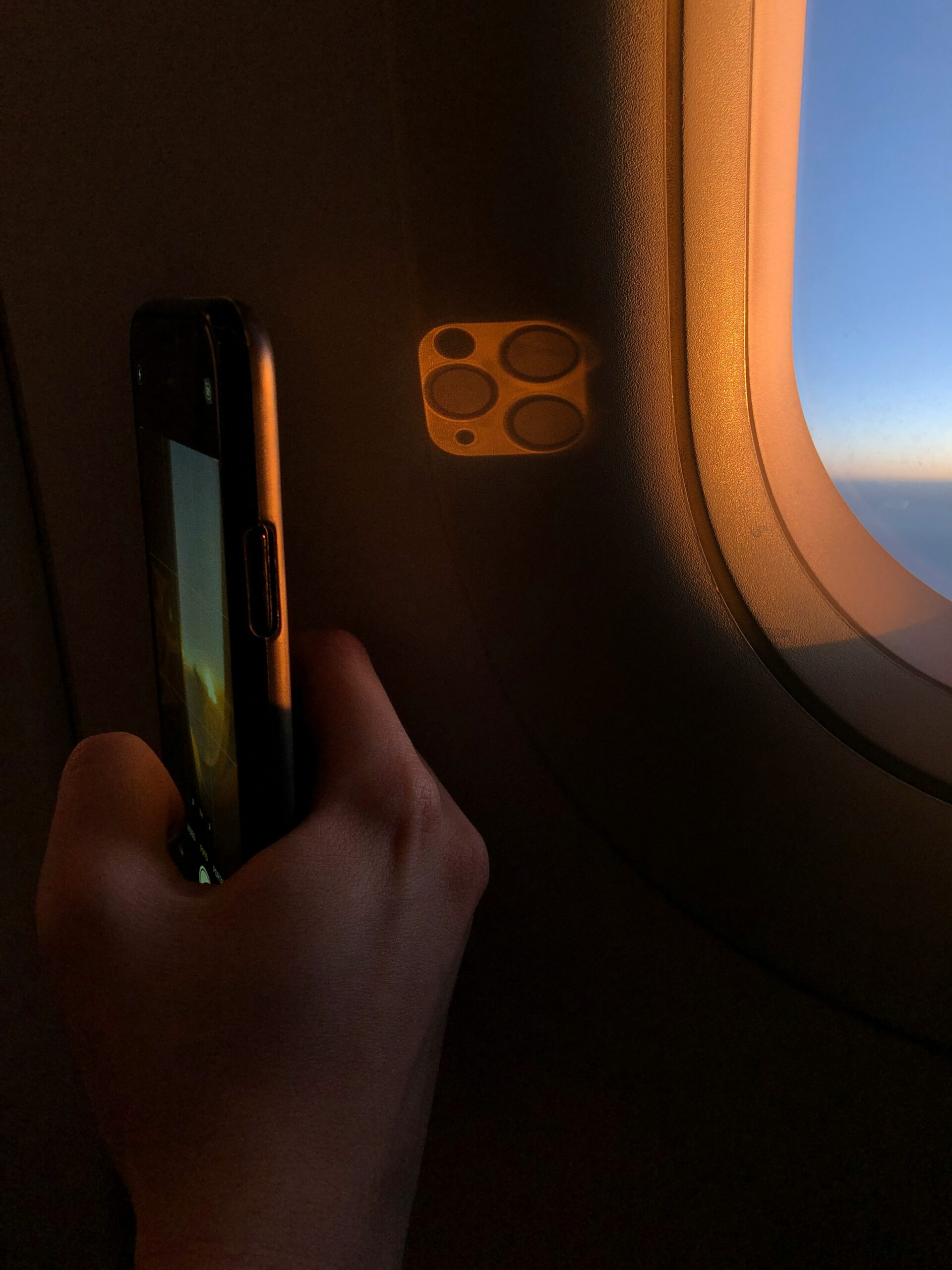 Nick shandra 4utnvzaxqrg unsplash