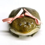 O1cn01x3q2i51tlnwj4n58q 2220203595885.webp